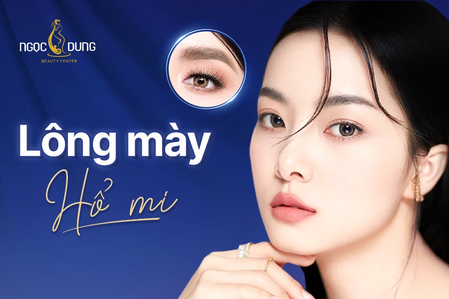 Lông mày hổ mi